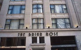 Briar Rose